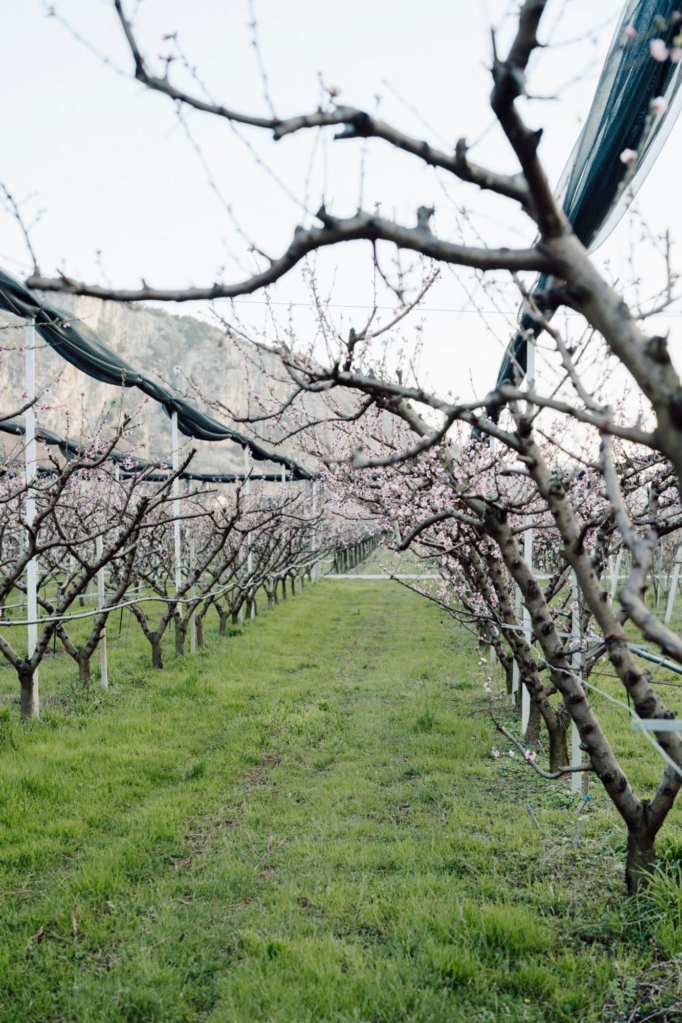 Appartamenti Maso Giare Arco Dış mekan fotoğraf